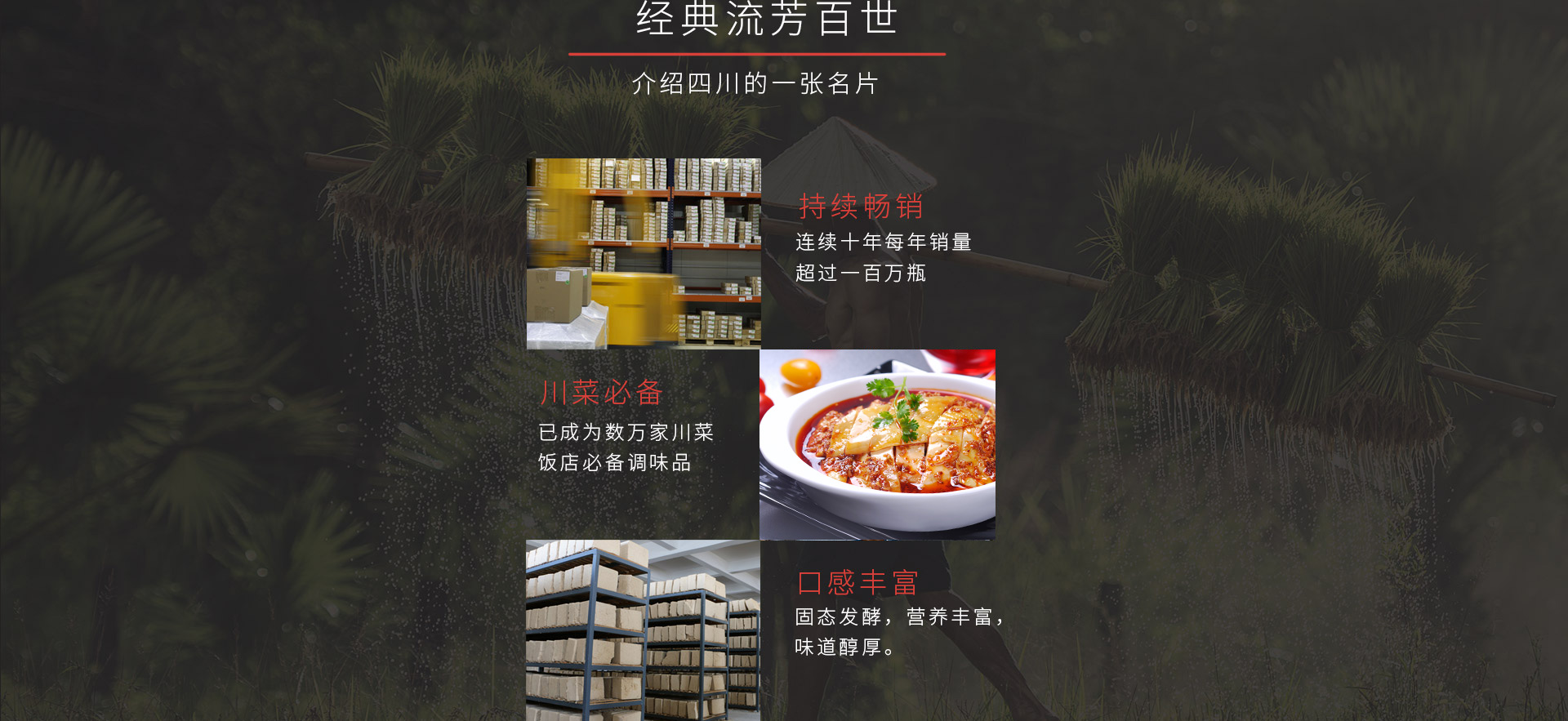 產(chǎn)品-經(jīng)典_02.jpg