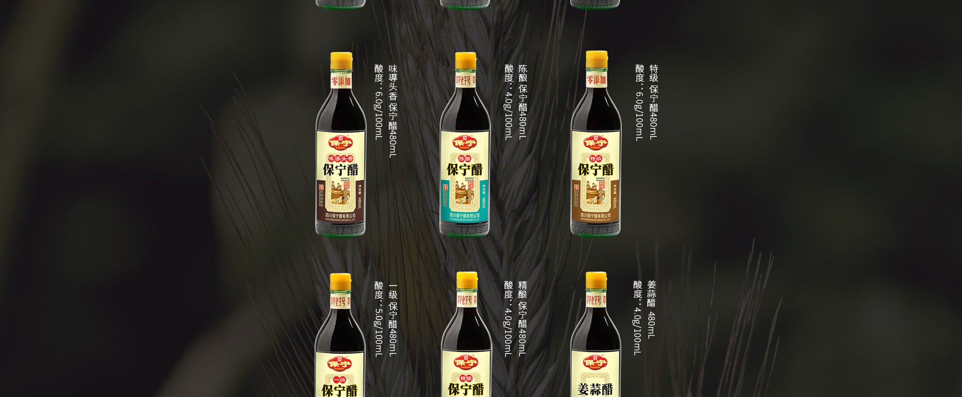 產(chǎn)品-陳釀_06.jpg